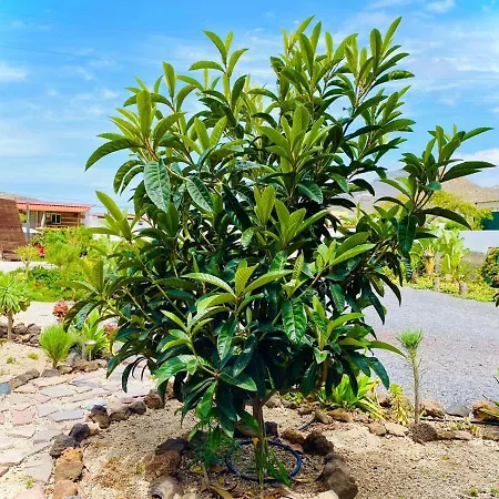 דירה Macaronesia Spa, Sauna Y Piscina By Deihu Experiences *