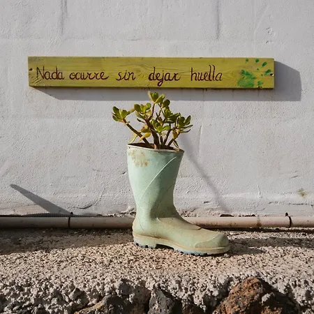 Appartement Macaronesia Spa, Sauna Y Piscina By Deihu Experiences Buzanada