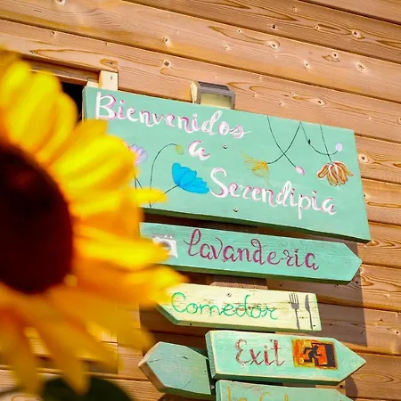 Macaronesia Spa, Sauna Y Piscina