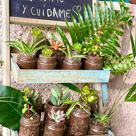 Macaronesia Spa, Sauna Y Piscina * Buzanada