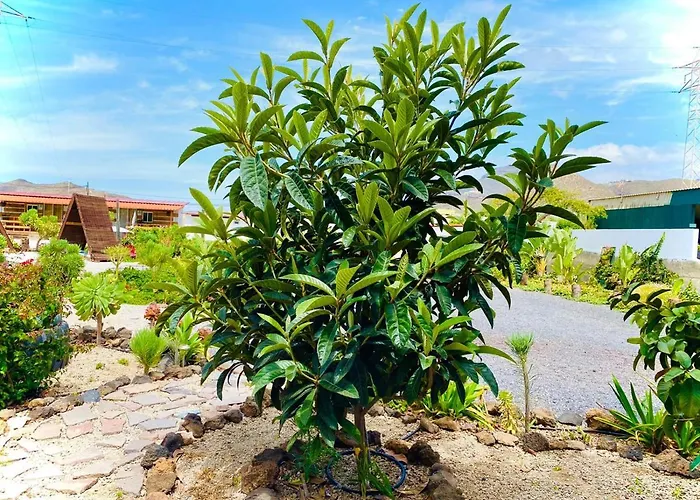 Apartment Macaronesia Spa, Sauna Y Piscina By Deihu Experiences *