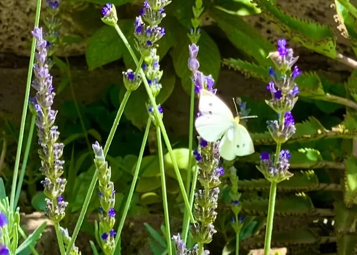 Macaronesia Spa, Sauna Y Piscina By Deihu Experiences Appartamento *